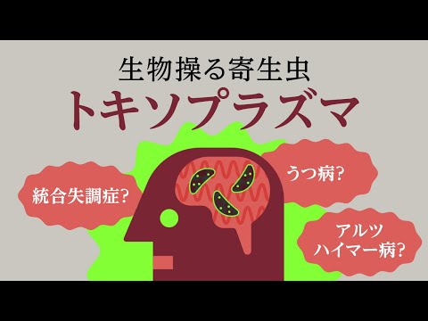 トキソプラズマ症について詳しく解説