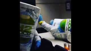 H2COCO HARLEM SHAKE