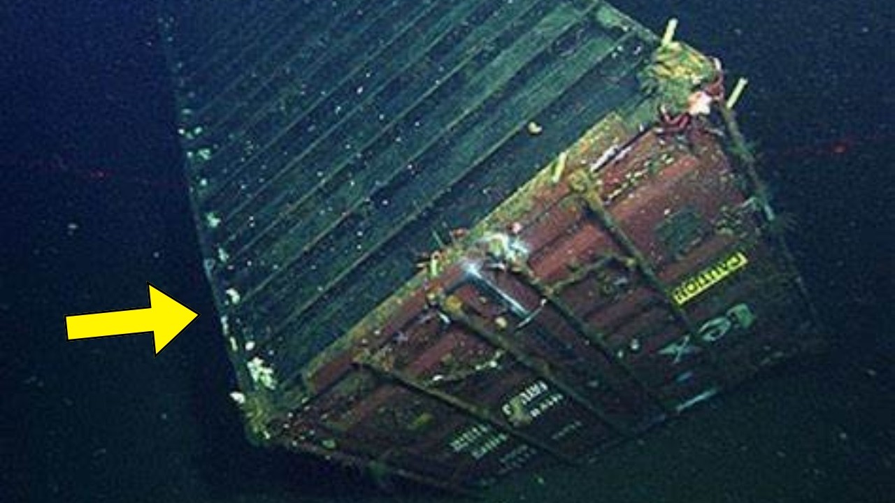 Underwater Robot Captures Sunken Container, Researchers Turn Pale When They Open It
