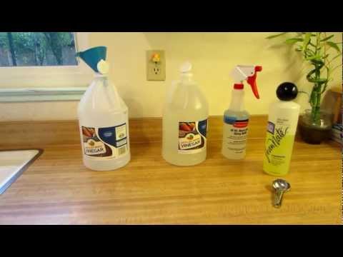 12 10 27 Cleaning and cat urine odor neutralizing