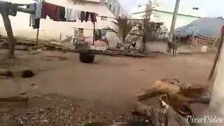 Mca title song akkineni prakash dance