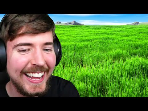 Mr. Beast Tests Minecraft Texture - Question Words