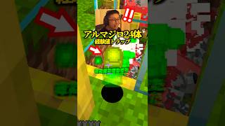 経験値トラップ、アルマジロ24体で動かしてみた結果がこちら【マイクラ】