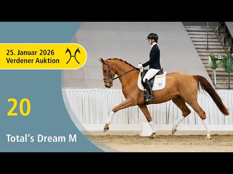 20 Total's Dream by Total Diamond PS - Belissimo M | Verden Auction Online - Sporthorses - Jan., 25