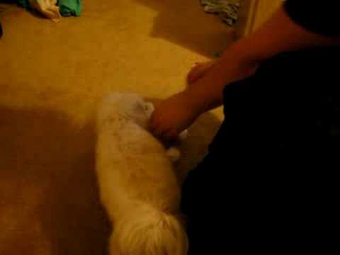 Muzzy meets his new friend!!!