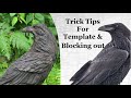 Carving Raven  How To Tips -  TEMPLATE & How to Profile BLOCK OUT