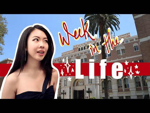 A week in the life at USC Thornton | VLOG 5