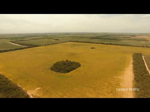 Campo agrícola en venta en Río Segundo | 450 ha con casa y galpones