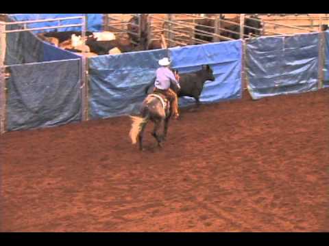 SW Pretty Boy Pistol / Mark Sigler - Open Futurity Champion - cow work score 145