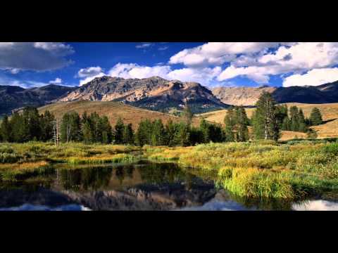 Dart Rayne - Poseidon (Araya Remake)