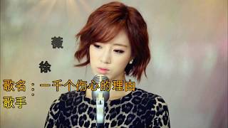Download lagu Xu Wei/ yi qian ge shang xin de li you mp3