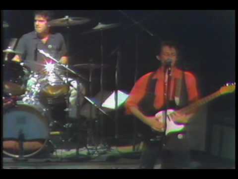 Alley Cats -  Just an Alley Cat