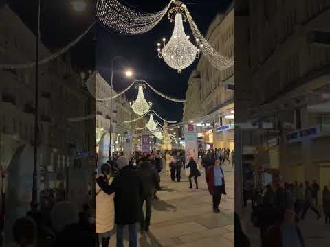 Around 800,000 Tourist visit vienna at New Year's Eve.   ……#vienna #austria #viral #viralshorts