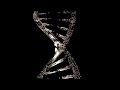 Identity Through A DNA Lens Shades Of U S