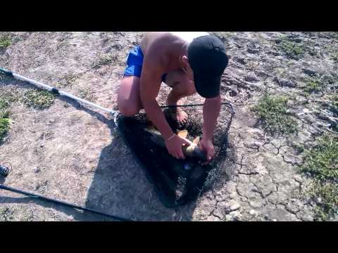 Pescaria sacosul turcesc