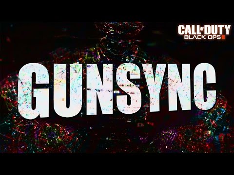 GUN SYNC #4 - Black Ops 2 (Pegboard Nerds & Different Heaven - MTC Coffins) | Boregs