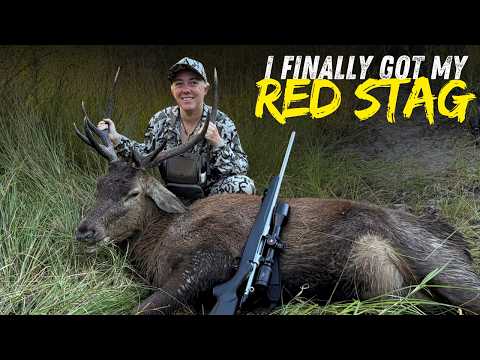 I Finally Got My Red Stag