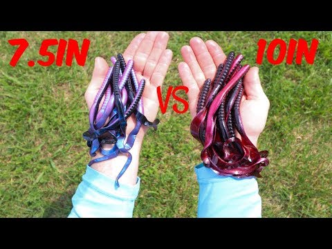 7.5in YUM Ribbontail Worm VS. Culprit 10in Ribbontail Worm