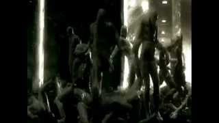Morphology - Dark Flow.