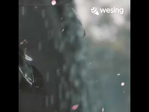 pelamin Anganku musnah