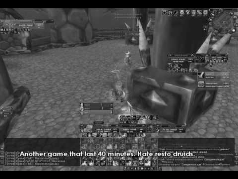 Holy paladin & Feral druid 2v2 wotlk