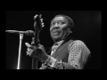 Muddy Waters - I Am The Blues