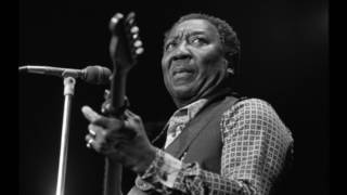 Muddy Waters - I Am The Blues