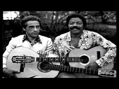 Pardinho &  Pardal -  Ninho de Saudade