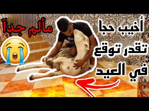 هدي هي أجواء عيد الأضحى في أحياء الشعبية لي فتاقدوها بزاف الناس و شوفوا أشنوا طرا ليا مع الحولي