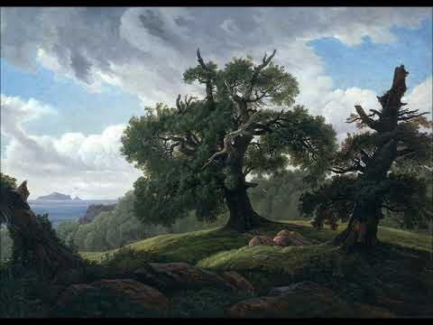 Carl Loewe(1796-1869): Symphony Nº 1 in D minor (1832)