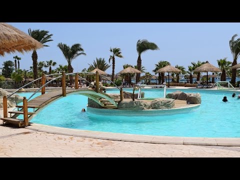 Египет Сафага август 2015 Lotus