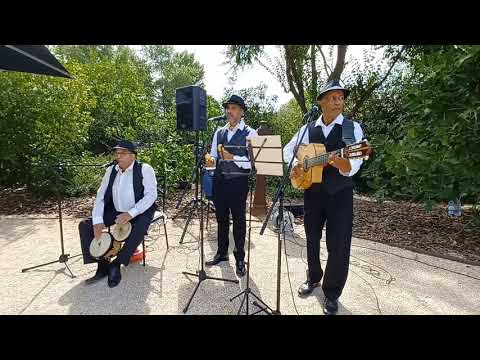 Video 4 de Caña Y Azucar Video 4 de Caña Y Azucar