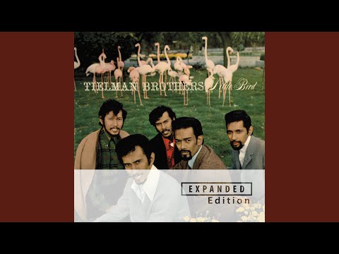 Little Bird (Remastered 2025)