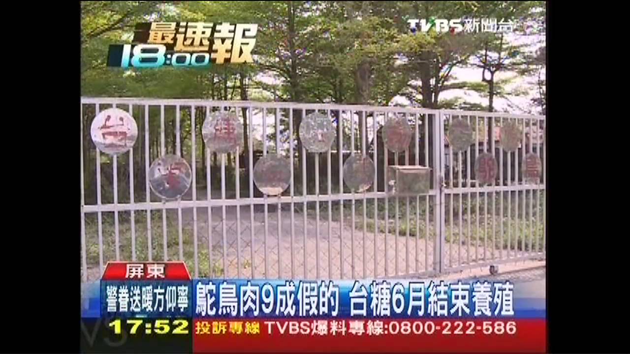 鴕鳥肉9成假的 台糖6月結束養殖