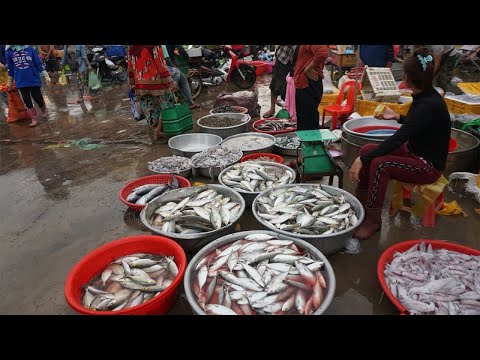 Mix Prek Phnov Fish Market & Orussey Market - Amazing Combine Street Market in Town