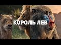 Видеообзор Король Лев от GSTV