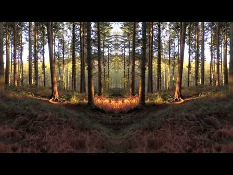 Higher Ground (Mote Remix) ft Little Grace