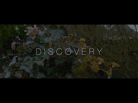 AK - Discovery