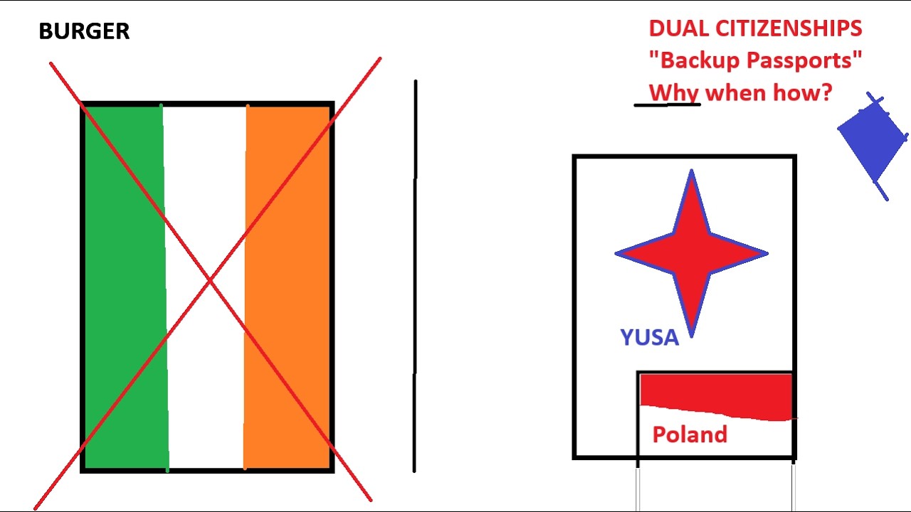 Which Dual Citizenships Are Most Common?