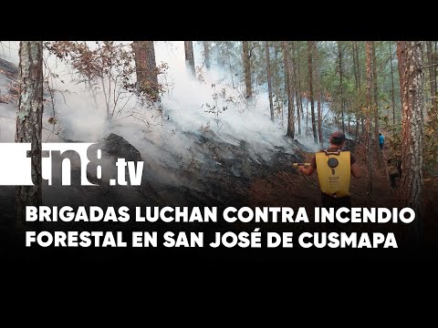Autoridades de Madriz se unen para sofocar incendio forestal