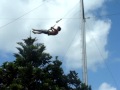 Emily Stark And Matthew Stark On The High Trapeze Part 1
