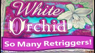 White Orchid! BONUS. So many retriggers!!