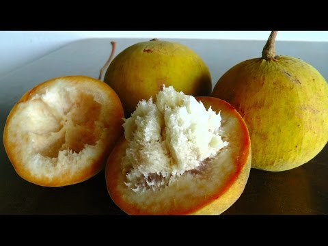 How to open and eat Santol