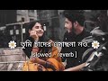 Tumi Chader Jochona Nou তুমি চাঁদের জোছনা নও Lofi Slowed Reverb Sl