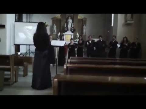 Deep River (arr. Anders Öhrwall) - Intermezzo