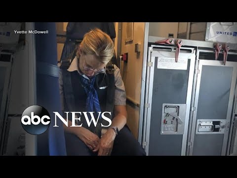 Flight attendant charged with being intoxicated l ABC News