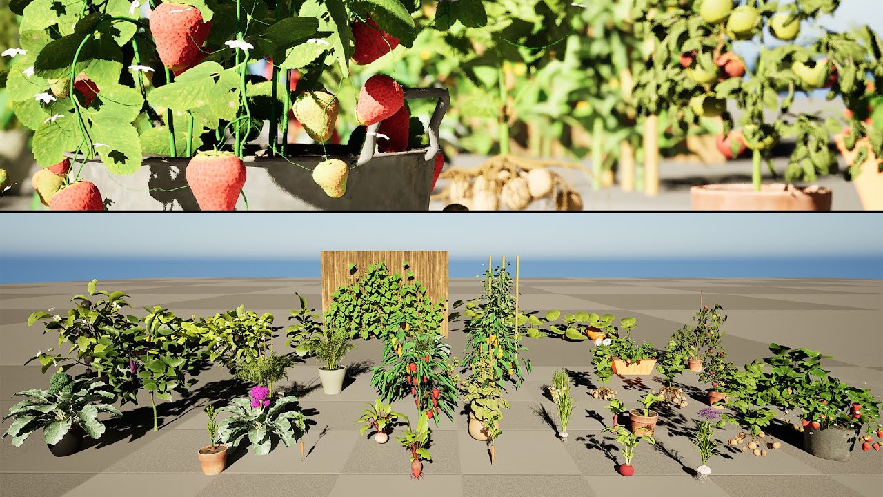 Pacote 3D de plantas vegetais Modelo 3D