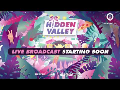 Sub Focus DJ set live at Hidden Valley Festival in NZ