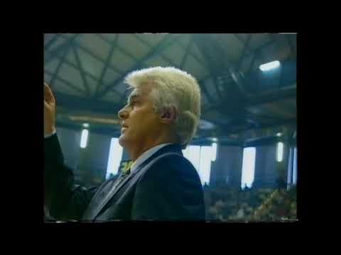 Amistoso España-Estados Unidos (8 de junio de 1993)