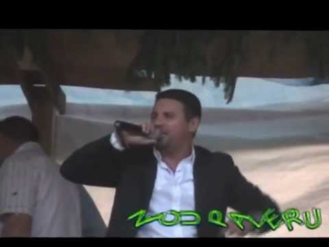 Nicu Paleru la Teisani.avi